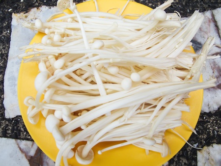 The Golden Mushroom is delicious vegetable food.の写真素材