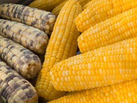 boiled corn super sweet taste very delicious の写真素材