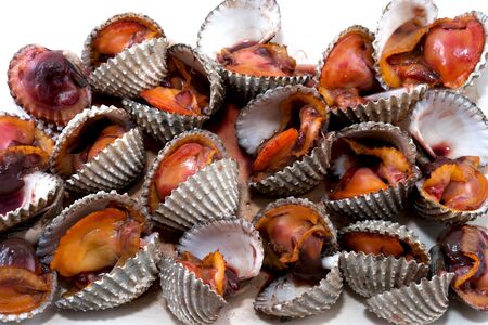 Boiled cockleの写真素材