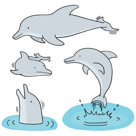 vector set of dolphinのイラスト素材