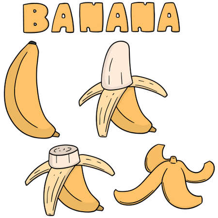 vector set of bananaのイラスト素材