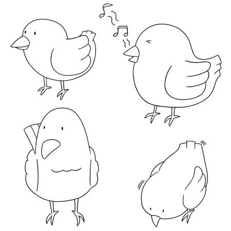 vector set of birdのイラスト素材