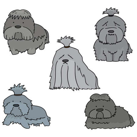 vector set of dog, shih tzuのイラスト素材