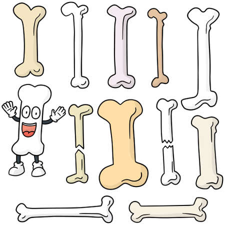 vector set of boneのイラスト素材