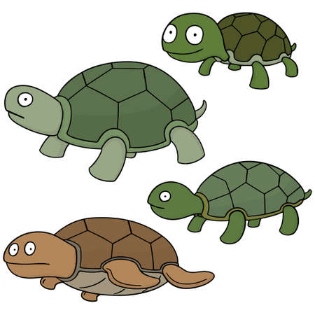 vector set of turtleのイラスト素材