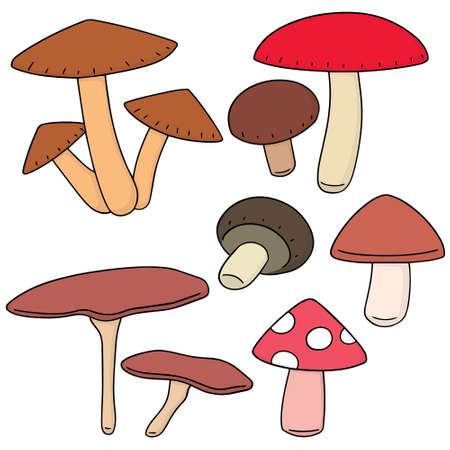 vector set of mushroomのイラスト素材