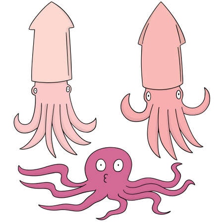vector set of squidsのイラスト素材