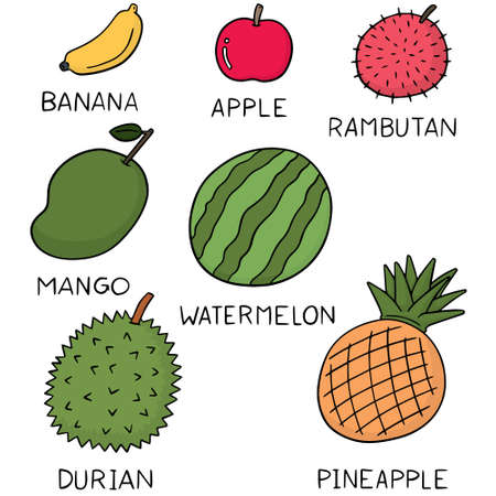 vector set of fruitsのイラスト素材