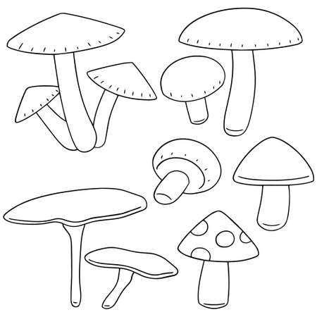 vector set of mushroomのイラスト素材