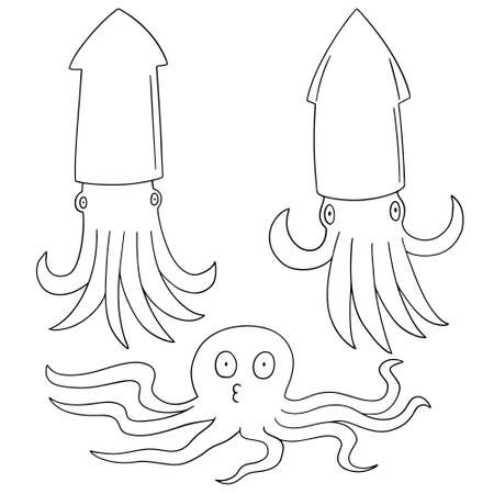 vector set of squidsのイラスト素材