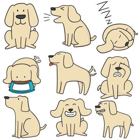 vector set of dog, labrador retrieverのイラスト素材