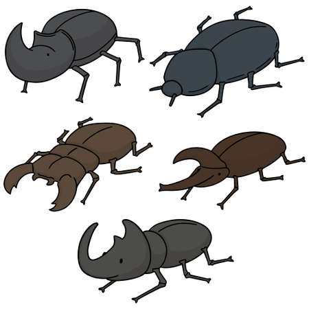vector set of beetleのイラスト素材