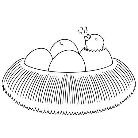 vector set of bird nest and eggのイラスト素材