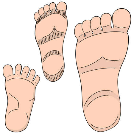 vector set of foot soleのイラスト素材