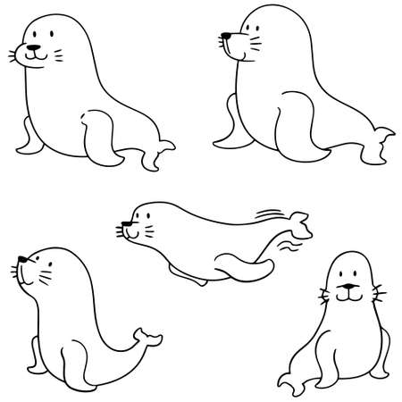 vector set of sea lionのイラスト素材