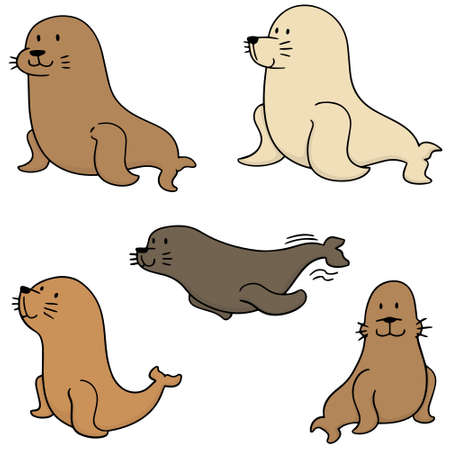 vector set of sea lionのイラスト素材