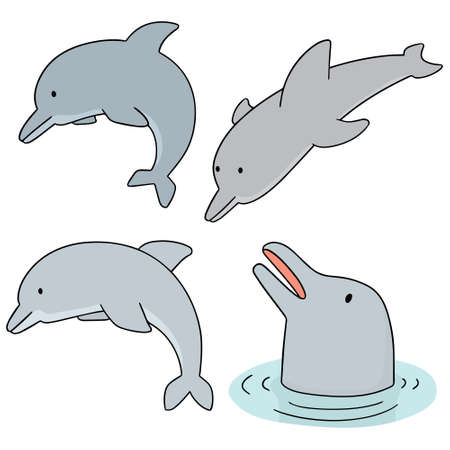 Vector set of dolphinのイラスト素材