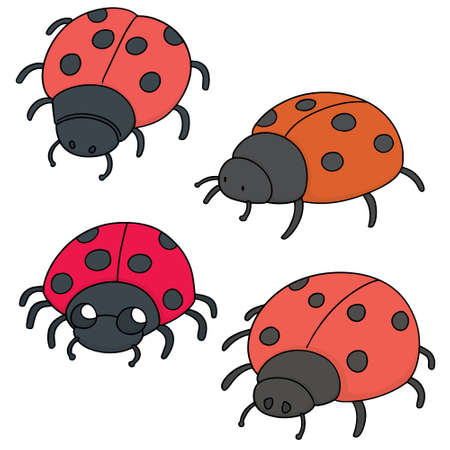 Vector set of ladybugのイラスト素材