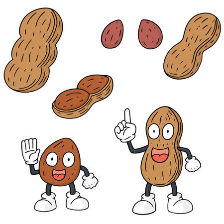 Set of peanuts icon.のイラスト素材