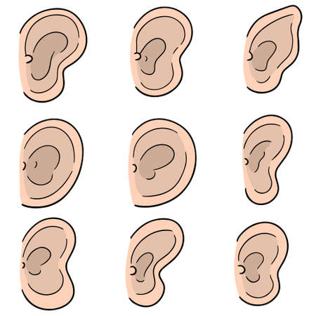 vector set of ear.のイラスト素材
