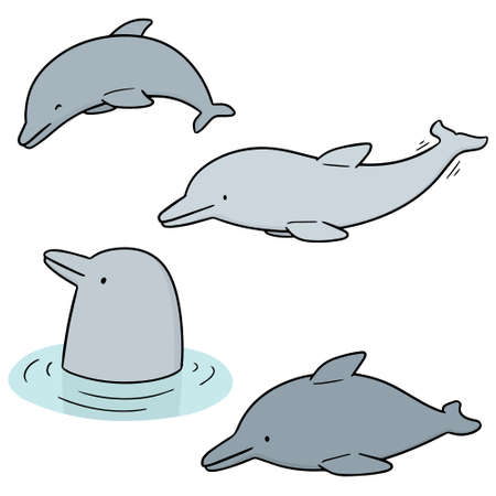 vector set of dolphinのイラスト素材