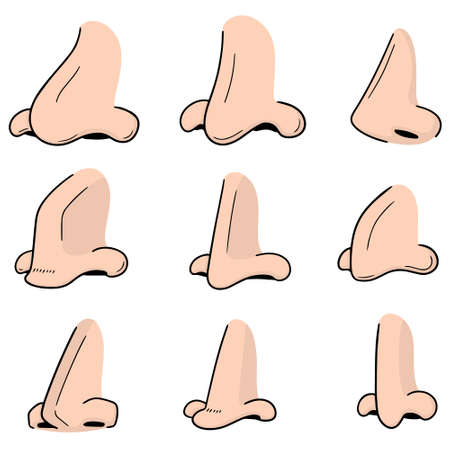 vector set of noseのイラスト素材