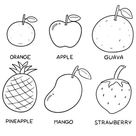 vector set of fruitsのイラスト素材