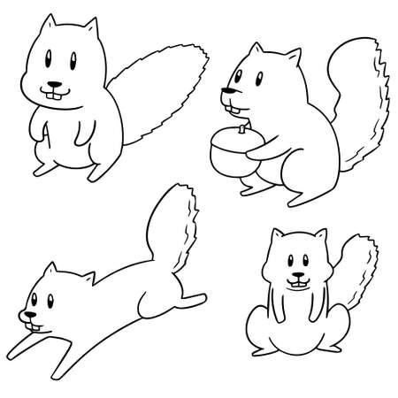 vector set of squirrelのイラスト素材
