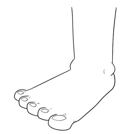 vector illustration of foot on white background.のイラスト素材