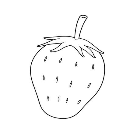 vector of strawberry isolated on white background.のイラスト素材