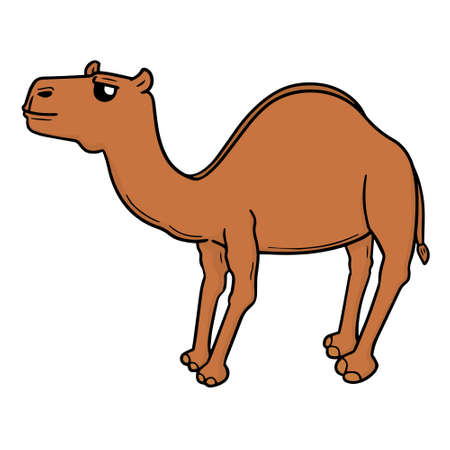 vector of camelのイラスト素材