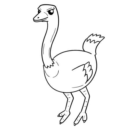 vector of ostrichのイラスト素材