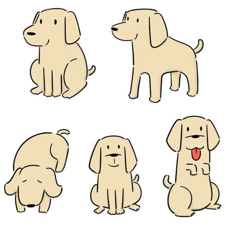 vector set of dog, labrador retrieverのイラスト素材