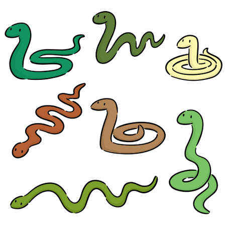 vector set of snakesのイラスト素材