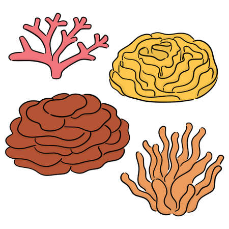 vector set of coralのイラスト素材