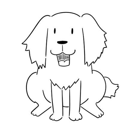 vector of dog, golden retrieverのイラスト素材