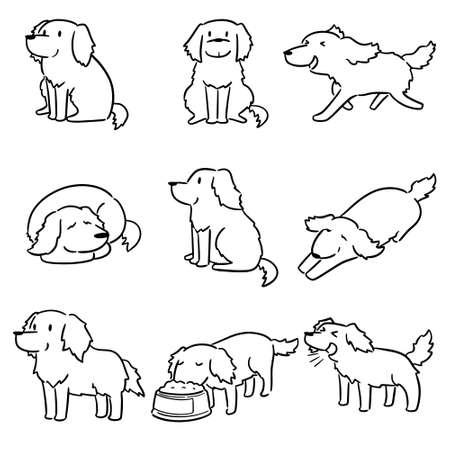 ゴールデンレトリーバーの写真素材 イラスト素材 ストックフォトのamanaimages Plus