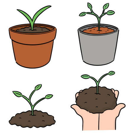 vector set of planting treeのイラスト素材