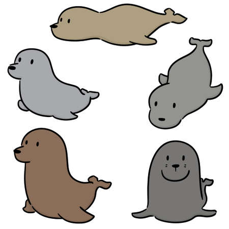 vector set of sea lionのイラスト素材