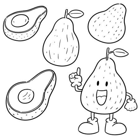 vector set of avocadoのイラスト素材