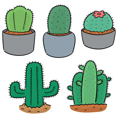 vector set of cactusのイラスト素材