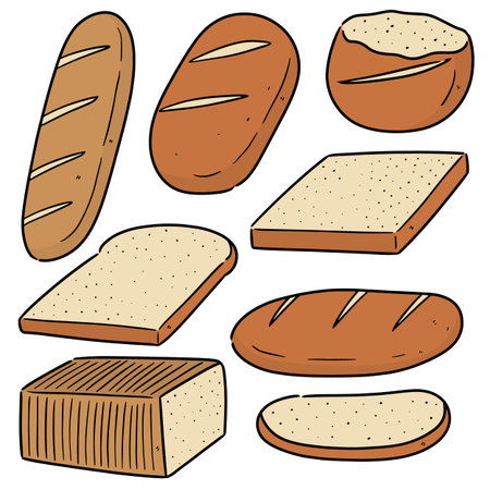 vector set of breadのイラスト素材