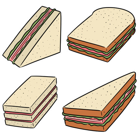 vector set of sandwichのイラスト素材