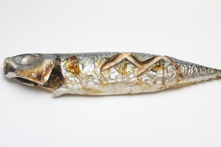 saba fish