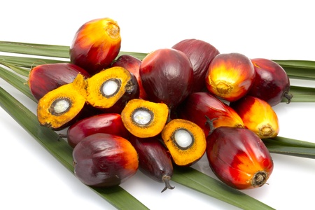 palm oil fruitの写真素材