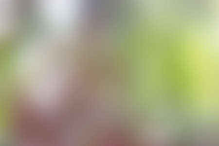transparent colourの写真素材