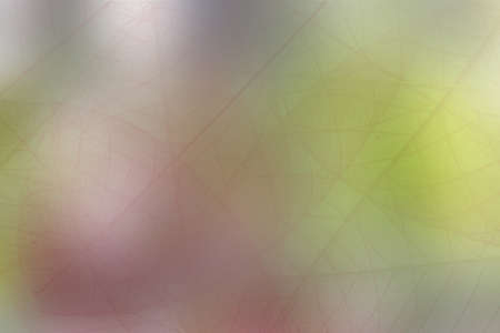 transparent colourの写真素材