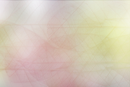 transparent colourの写真素材