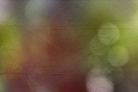 transparent colourの写真素材