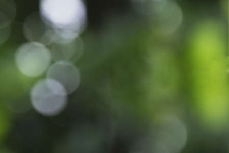transparent colour